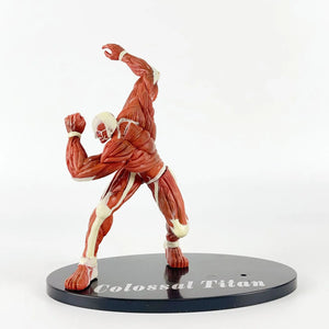 Attack on Titan Titan Figures